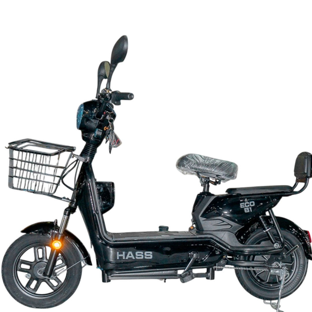 Hass Eco B1